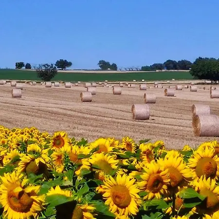 Casa vacanze L'olivier Lizant